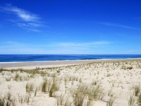 Loft Standing 100 M2 A 200 Metres De La Plage Apartment Lacanau Bagian luar foto